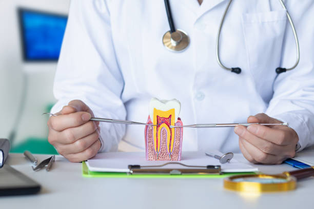 Best Weekend Emergency Dentist in Kettering, MD